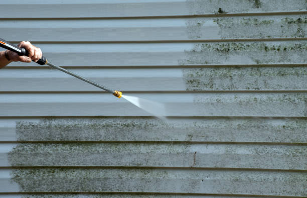 Roof Power Washing Services in Avalon, CA