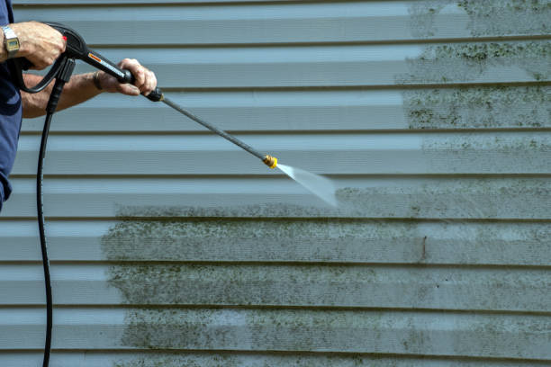 Best Roof Power Washing Services  in Avalon, CA