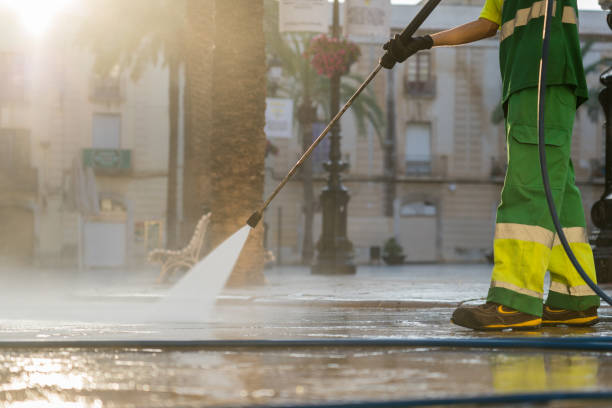 Best Sidewalk Pressure Washing  in Avalon, CA