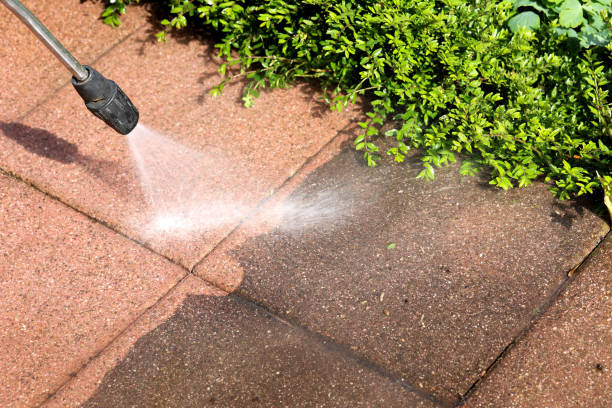 Best Local Pressure Washing Services  in Avalon, CA